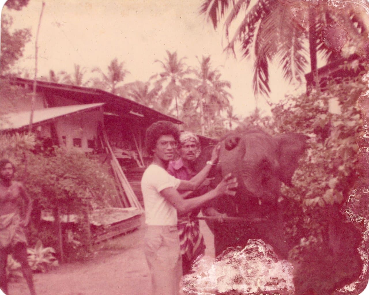 A faded colour photograph of men beside an elephant at the timber yard, with the mill shed and coconut palms behind.